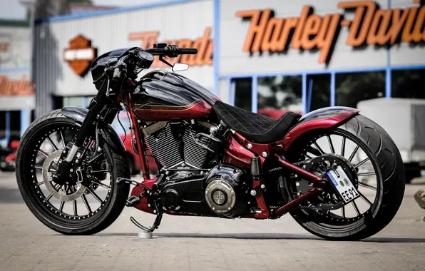 Картинка Bike, Harley-Davidson, Custom, Softail, Thunderbike, Nobleout