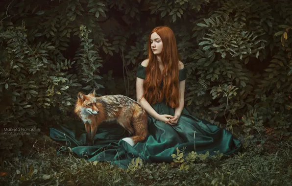 Картинка девушка, поза, платье, лиса, рыжая, рыжеволосая, кусты, длинные волосы, Marketa Novak, Zuzana Olejnik