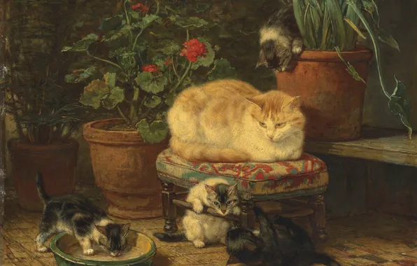 Картинка кошка, масло, котята, Henriette Ronner-Knip, «Kittens at play»
