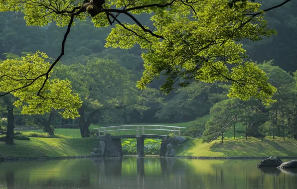 Картинка Tokyo, Japan, мостик, городской парк