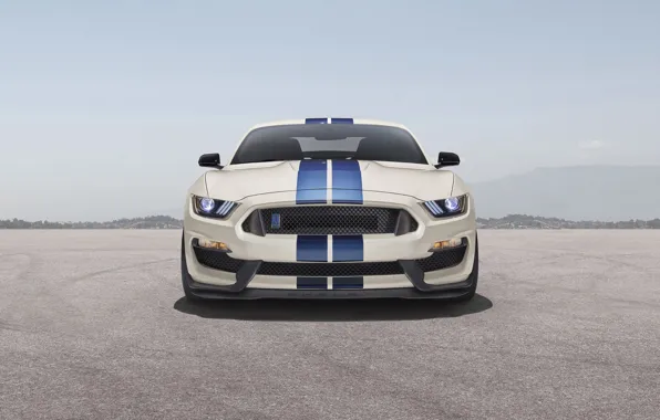 Картинка Mustang, Shelby, ford, Ford Mustang Shelby GT350, gt350