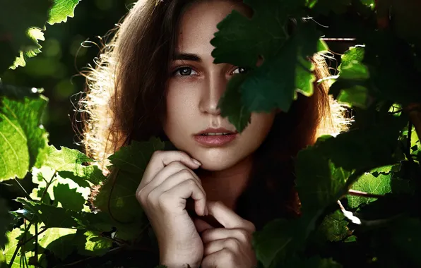 Картинка листья, девушка, лицо, портрет, Polina, Ann Nevreva