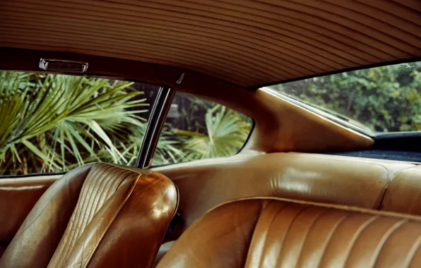 Картинка пальма, автомобиль, салон, Christoffer Rudquist, Aston Martin DB