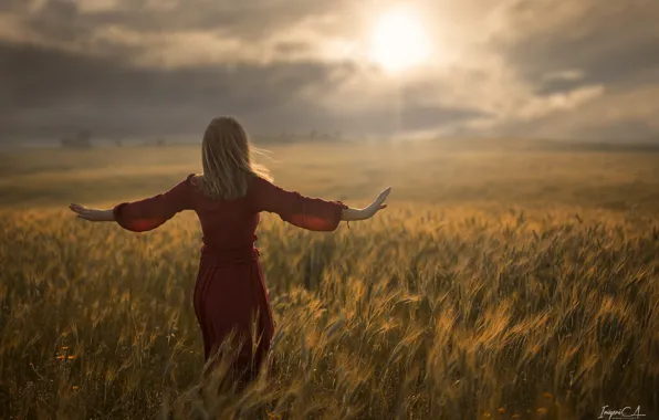 Картинка пшеница, поле, девушка, солнце, ветер, спина, Antonio A Conde