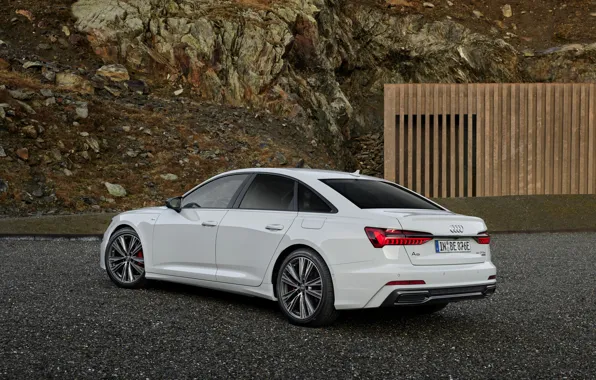 Картинка белый, Audi, седан, задом, гибрид, Audi A6, четырёхдверный, 2020, A6, A6 Sedan, 55 TFSI e …