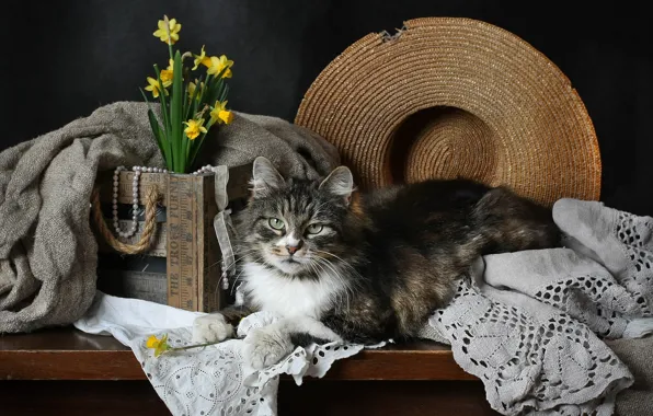 Картинка кошка, кот, цветы, темный фон, стол, серый, букет, шляпа, желтые, ткань, лежит, бусы, натюрморт, ящик, …