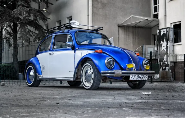Картинка Volkswagen, Blue, White, Beetle, Volkswagen Beetle