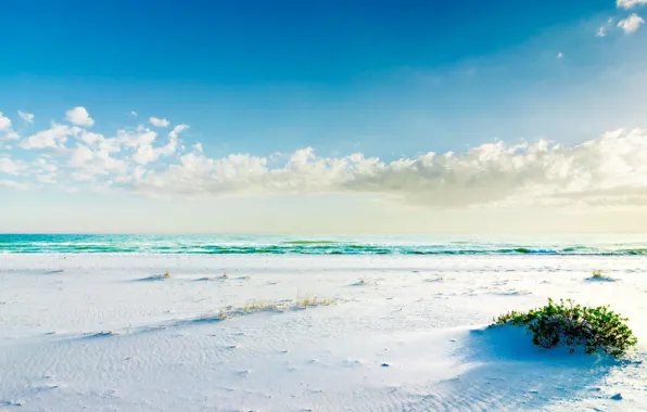 Картинка песок, пляж, трава, океан, берег