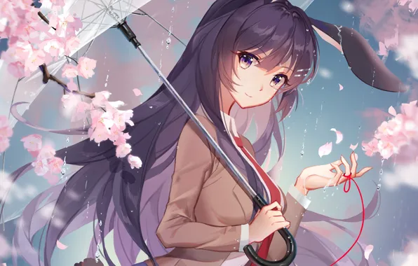 Картинка девушка, цветы, дождь, зонт, сакура, Seishun Buta Yarou wa Bunny Girl Senpai no Yu