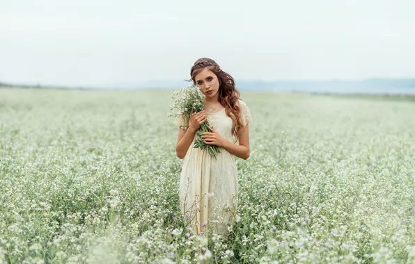 Картинка поле, лето, взгляд, девушка, цветы, Лепешкина Юлия, Соня Яцечко