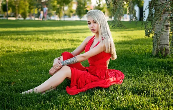 Картинка трава, Девушка, платье, блондинка, сидит, Vladimir Dudorkin