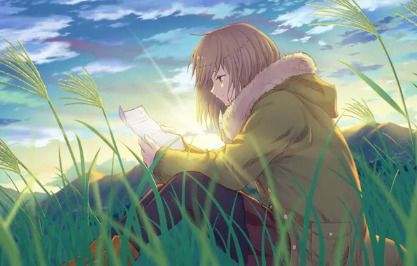Картинка поле, трава, письмо, девушка
