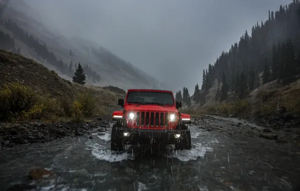 Картинка свет, красный, дождь, вид спереди, 2018, Jeep, Wrangler Rubicon