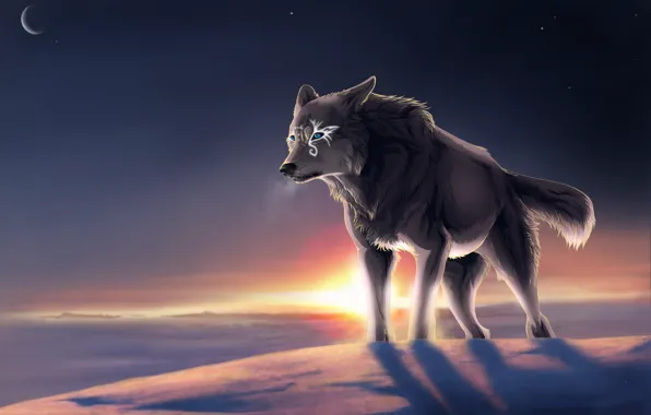 Картинка ночь, луна, волк