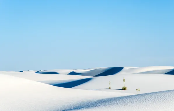 Картинка пустыня, США, белый песок, Нью Мексико