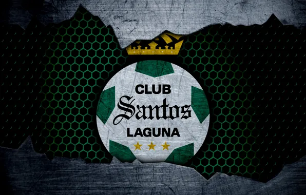 Картинка wallpaper, sport, logo, football, Santos Laguna