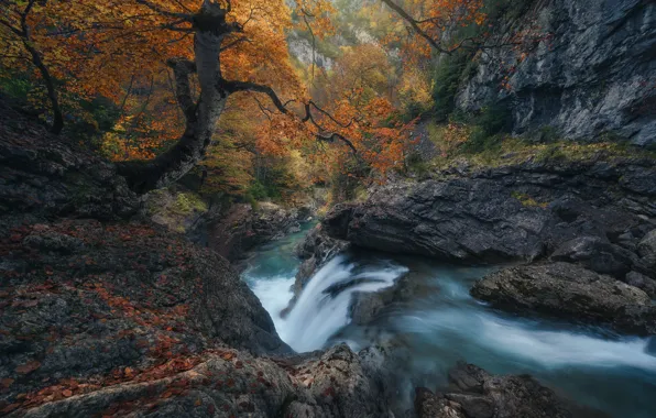 Картинка осень, деревья, ручей, скалы, водопад, речка, Испания, Spain, Ordesa y Monte Perdido National Park, Национальный …