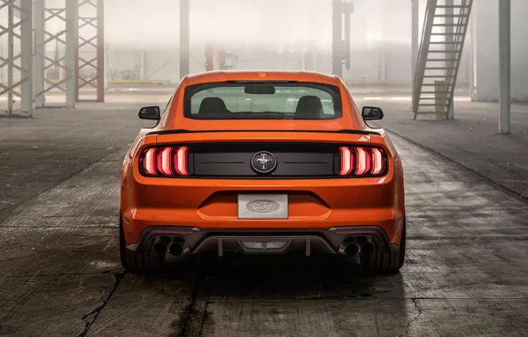 Картинка Mustang, Ford, вид сзади, EcoBoost, 2020, High Performance Package