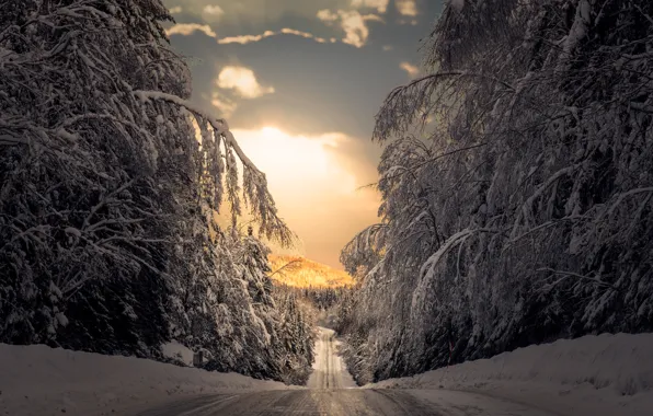 Картинка зима, дорога, лес, снег, деревья, Швеция