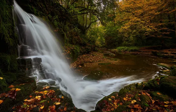 Картинка осень, лес, водопад, Германия, речка, опавшие листья
