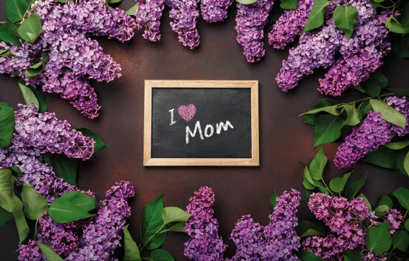 Картинка цветы, love, wood, flowers, сирень, romantic, letter, spring, purple, lilac, mother's Day