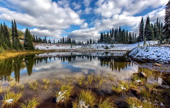 Картинка осень, природа, Mount Rainier National Park
