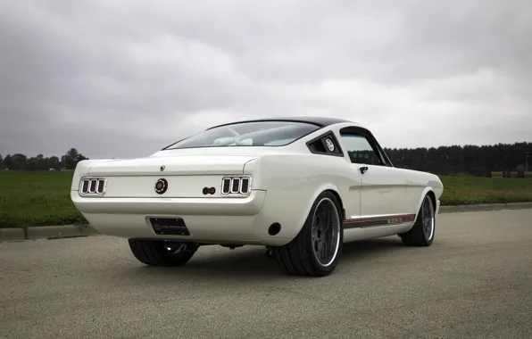 Картинка Ford, Ford Mustang, Blizzard, 1965, White, Fastback, Side, Rear, Ringbrothers, Mustang 1965