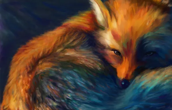 Картинка мордочка, хвост, fox, лисица, рыжая голова, свернулась калачиком, by Digitds
