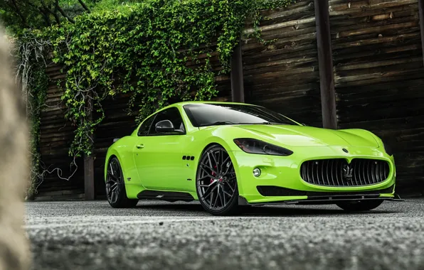 Картинка Maserati, Quattroporte, Wall, Green, Beauty, Itallian