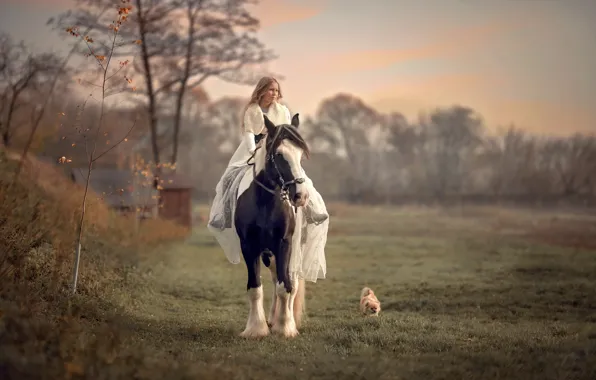 Картинка конь, собака, девочка