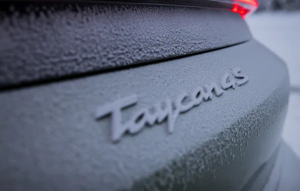 Картинка снег, Porsche, зелёный, 2020, Taycan, Taycan 4S, налипший