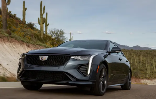 Картинка Cadillac, седан, на дороге, четырёхдверный, 2020, CT4-V