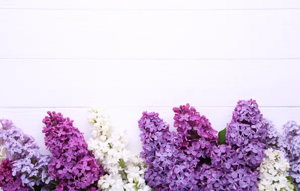 Картинка цветы, фон, wood, flowers, сирень, purple, lilac