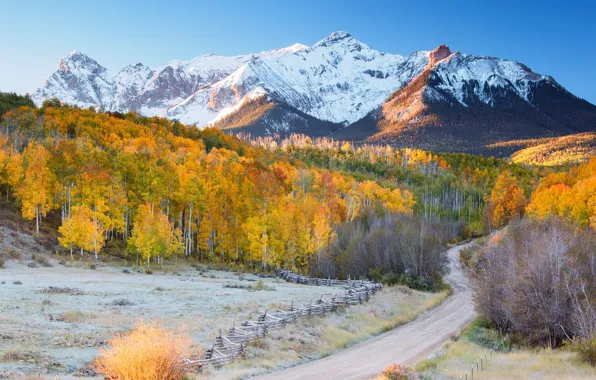 Картинка дорога, осень, лес, горы, снежные вершины