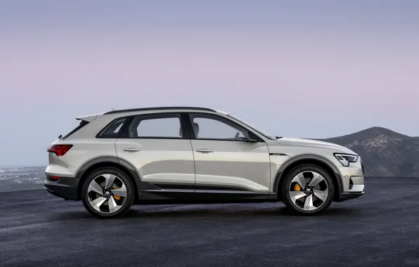 Картинка серый, Audi, профиль, E-Tron, 2019