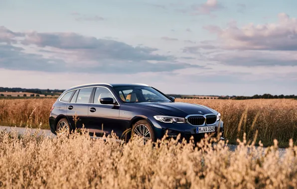 Картинка поле, BMW, 3-series, универсал, тёмно-синий, 3er, 2020, G21, 330d xDrive Touring