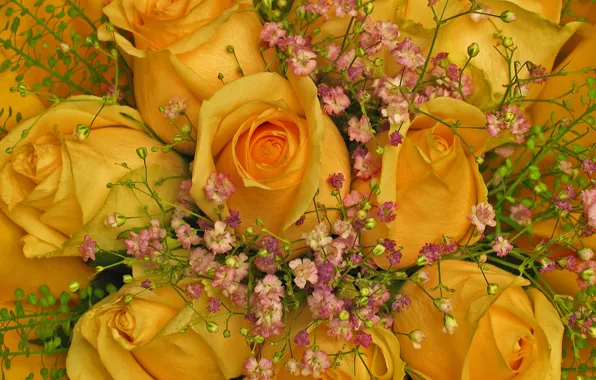 Картинка цветы, розы, букет, желтые, цветочки, бутоны, много, веточки