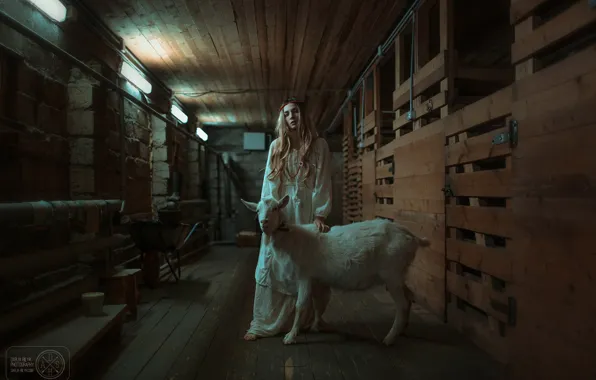 Картинка девушка, коза, Дарья Билык