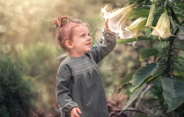 Картинка цветы, природа, пыльца, лилии, девочка, малышка, ребёнок, боке, Козел Марта