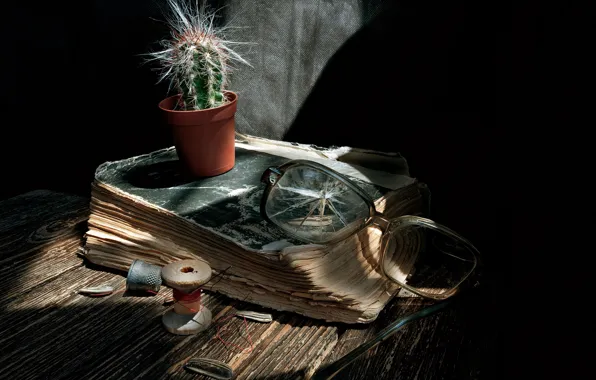 Картинка кактус, очки, книга, натюрморт, нитки