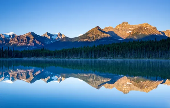 Картинка горы, отражение, Канада, Альберта, Banff National Park, Herbert Lake, озеро Херберт