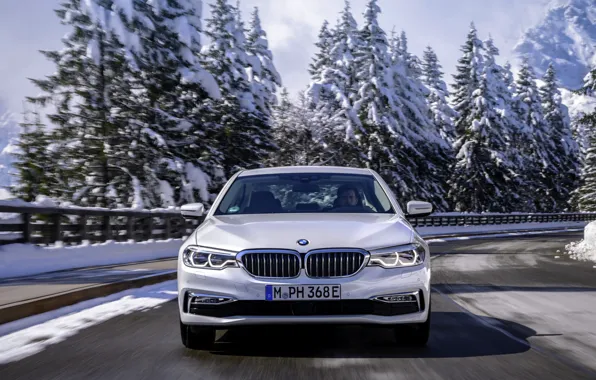 Картинка дорога, белый, деревья, BMW, седан, вид спереди, гибрид, 5er, четырёхдверный, 2017, 5-series, G30, 530e iPerformance
