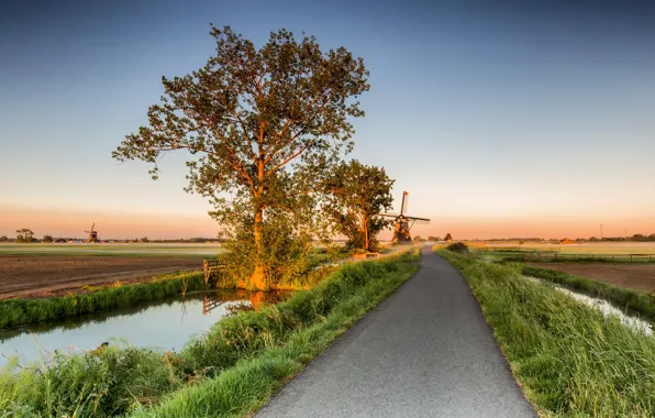Картинка дорога, деревья, мельницы, Нидерланды, Alblasserwaard