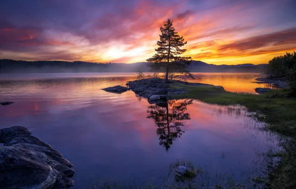 Картинка закат, озеро, дерево