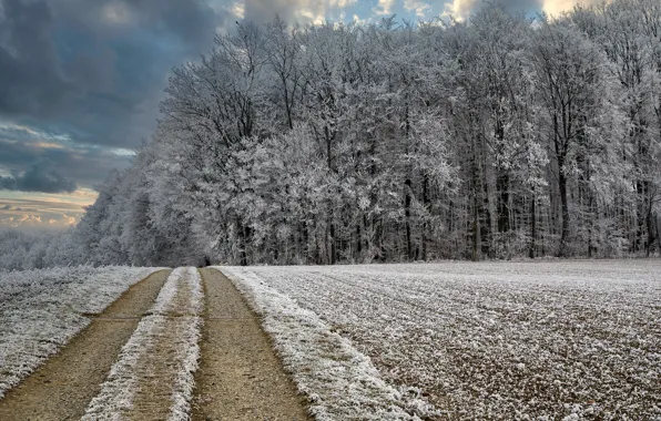 Картинка зима, дорога, лес, мороз