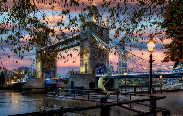 Картинка ветки, мост, город, река, рассвет, Англия, Лондон, здания, утро, освещение, фонари, Темза, Tower Bridge