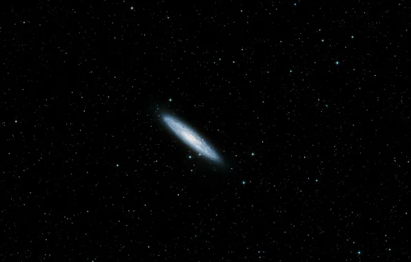 Картинка Galaxy, NGC 253, Digitized Sky Survey 2, Constellation Sculptor, Wide-field view, Silver Coin Galaxy, Silver …