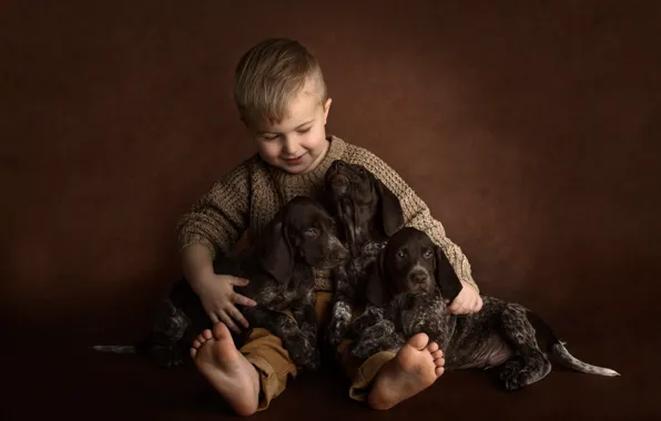 Картинка собаки, фон, настроение, мальчик, щенки, трио, друзья, пёсики