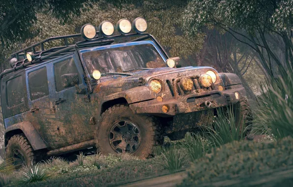 Картинка транспорт, растительность, грязь, автомобиль, Лесной Jeep