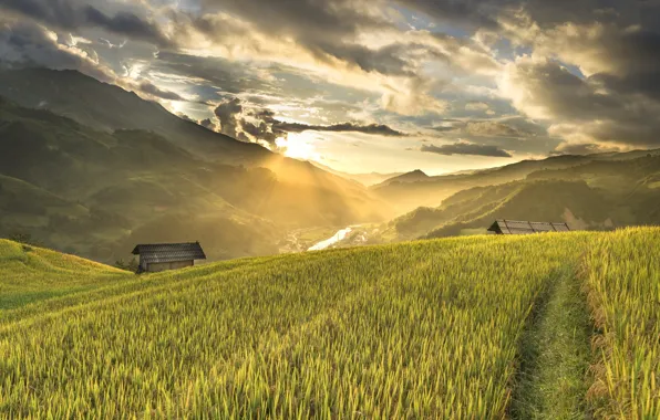 Картинка горы, склон, домик, Вьетнам, рисовые плантации